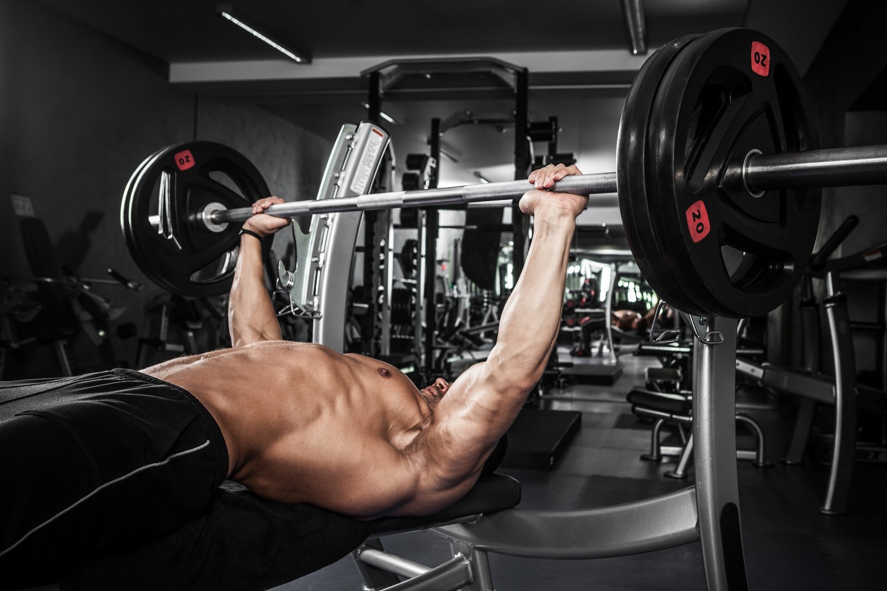 Bench+Press+(HD) Musculación, fineses y cardio